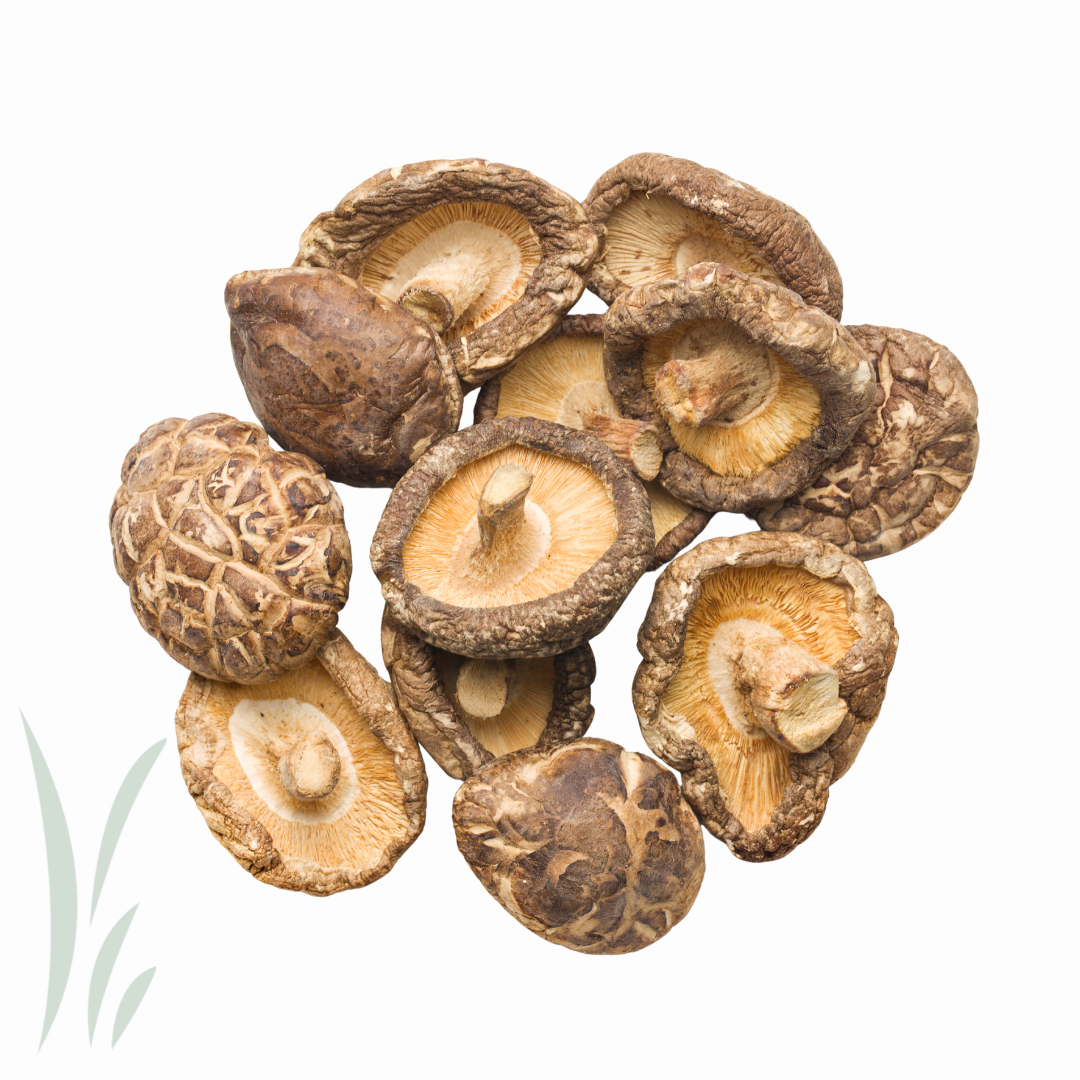 Shitake dried mushroom - 500g