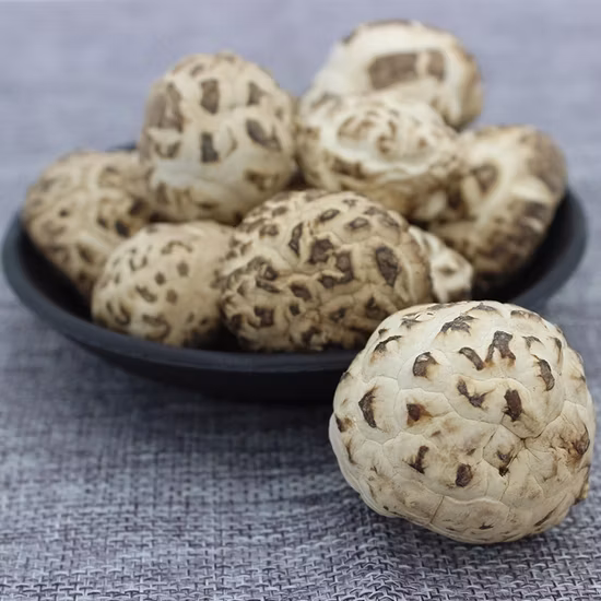 Shitake dried mushroom white-500g