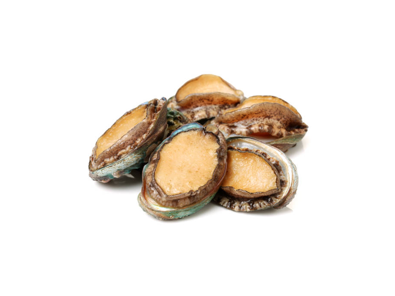Abalone-1kg