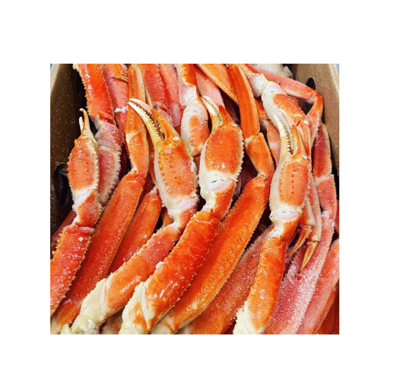 cooked snow crab scored claw arm - 1kg