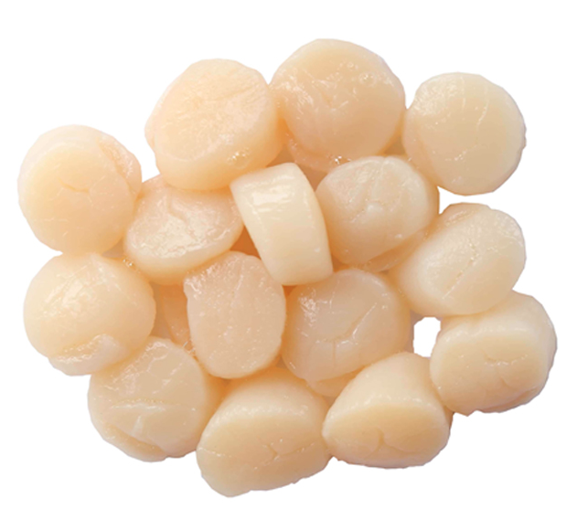 Frozen scallop U.A.E - 1 Kg