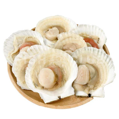 Half shell scallop- 180g