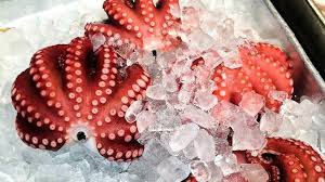 Octopus 1 pcs /1 Kg +/-  (Yanagi Dako)