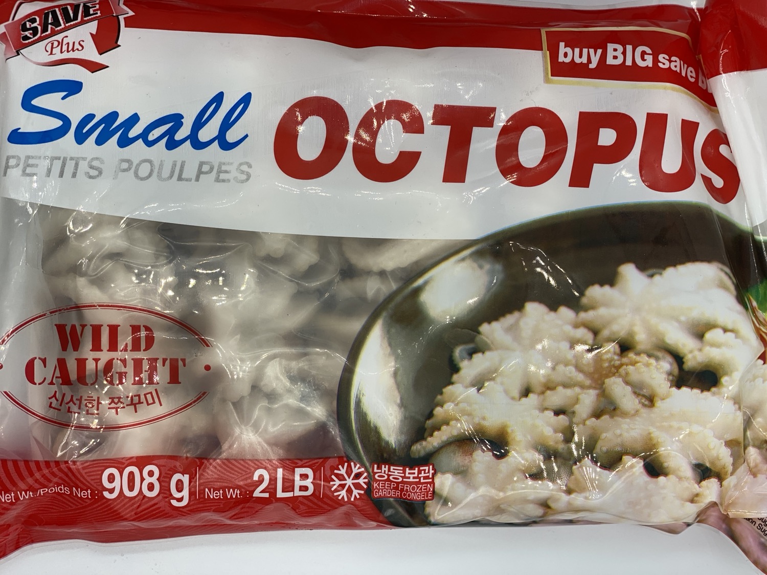 Small Octopus- 908g