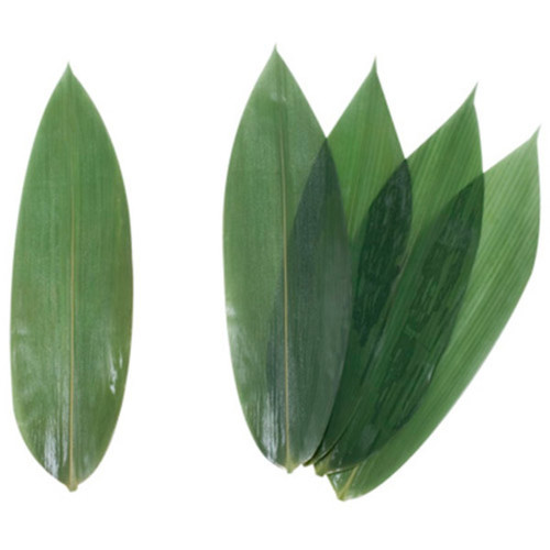 Bamboo leaf shinkusasa - 100 pcs