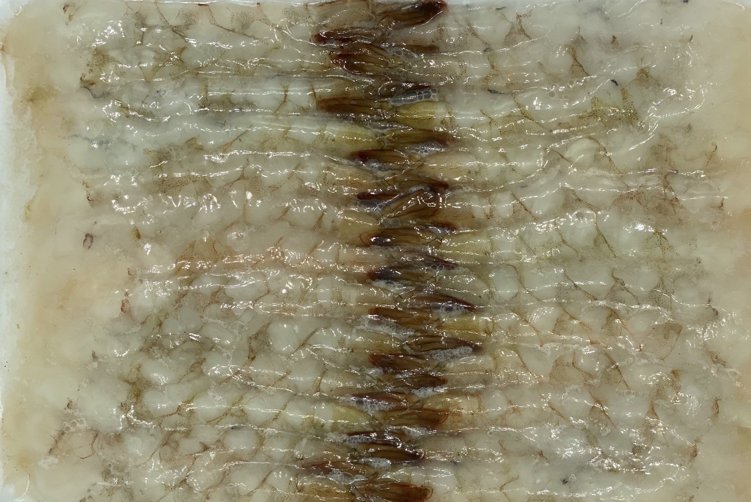 Nobashi Ebi (Shrimps for Tempura)