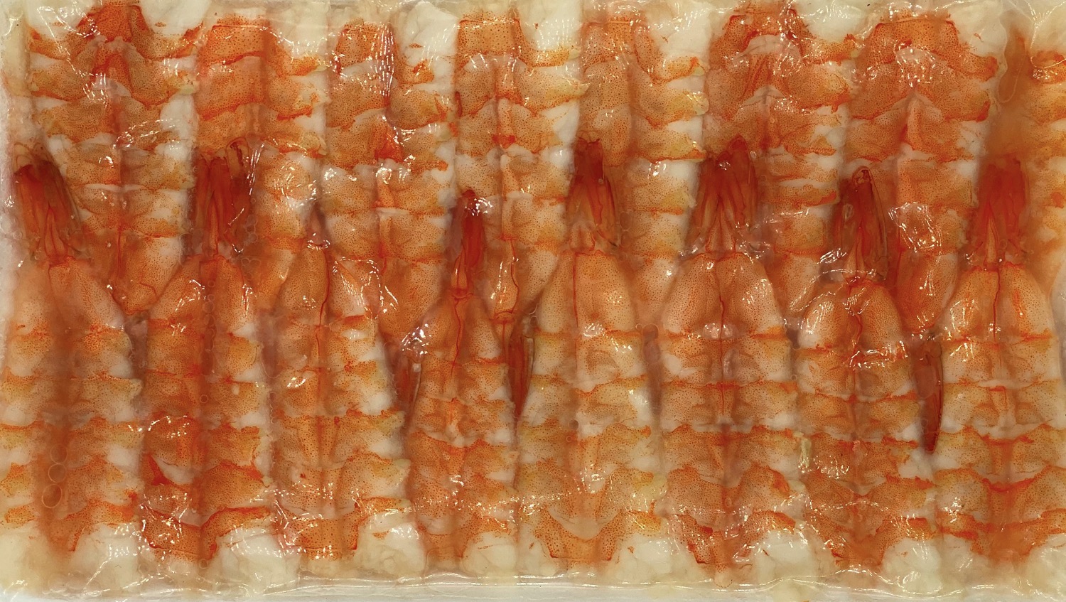 Sushi Ebi 6L (Butterflied flattened shrimp)- 180g