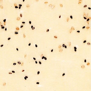 Mamenori- goma (soybean sheet with sesame)- 20 sheets